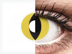 ColourVUE Crazy Lens - Cat Eye - nedioptrické (2 šošovky)