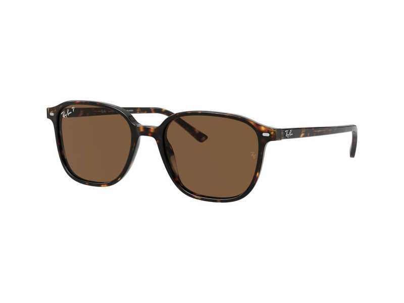 Ray-Ban Leonard RB2193 902/57