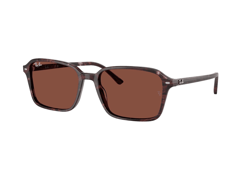 Ray-Ban Raimond RB2231 1416C5 