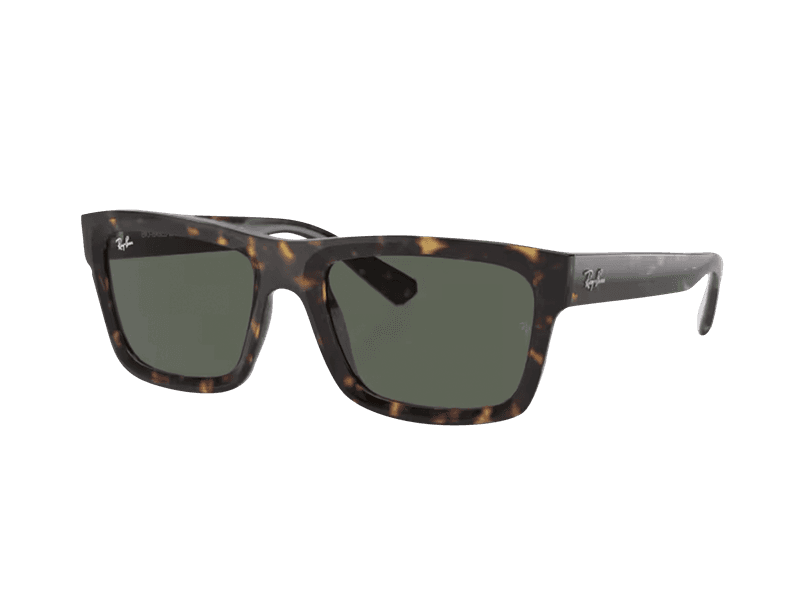 Ray-Ban Warren RB4396 135971 